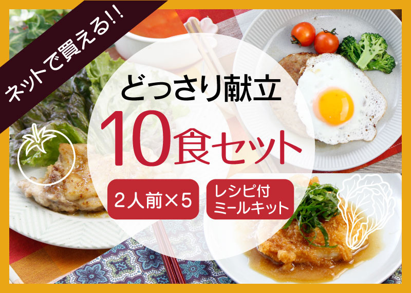 ネットで買えるどっさり献立10食セット　2人前×5食　レシピ付きミールキット